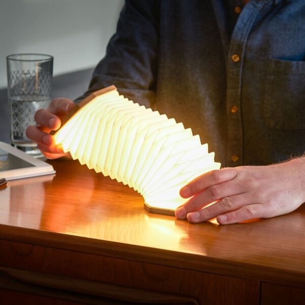 Gingko Smart Accordion Lamp held in maple