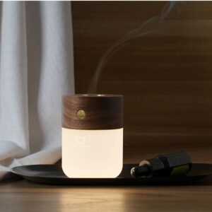 Gingko Smart Diffuser Lamp with oil
