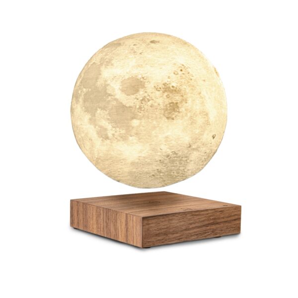 Gingko smart moon lamp walnut no background soft light