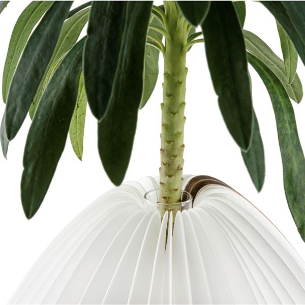 Smart Vase Light closeup of green leafy stem