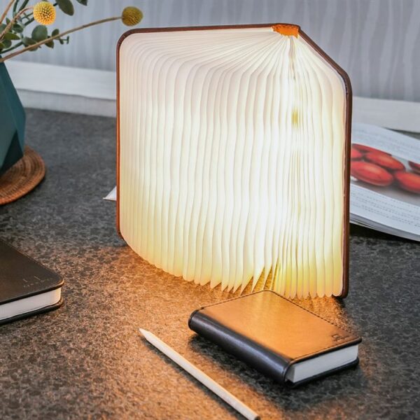 Gingko Large Leather Smart book light part open light facing