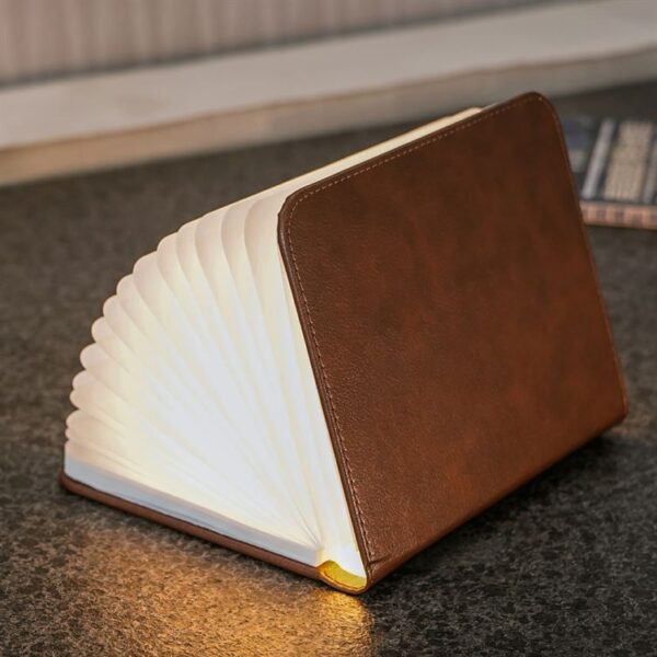 Gingko Large Leather Smart book light part open on side