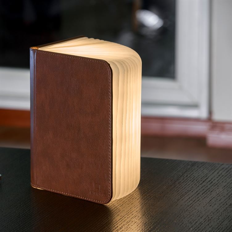 Gingko Large Leather Smart book light part open on end