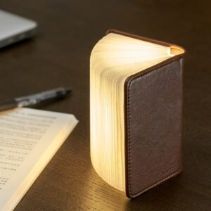 Gingko Large Leather Smart book light on end