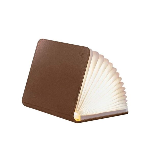 Gingko Large Leather Smart book light part open