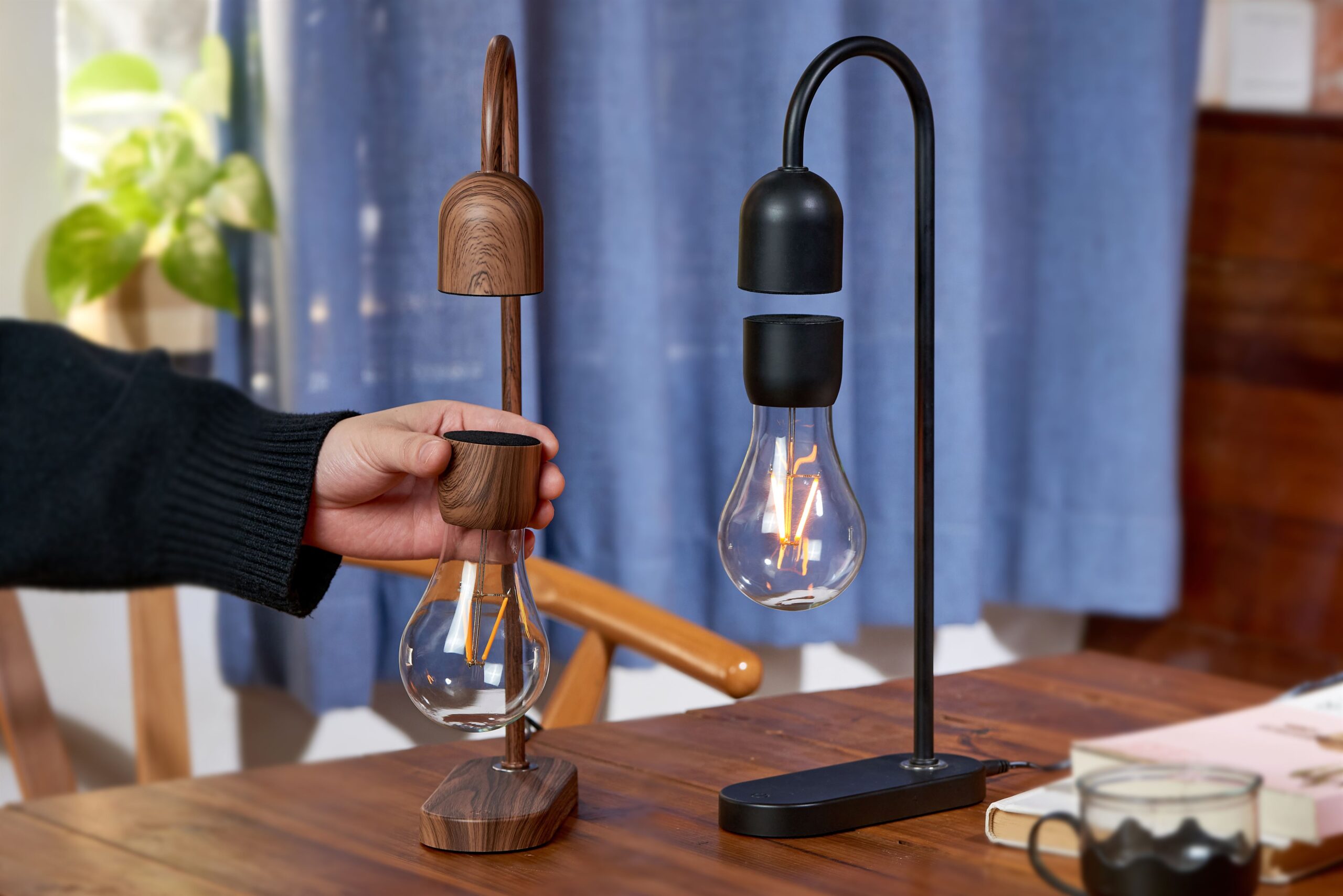 Gingko floating Evro lightbulb lamp black and Walnut floating example