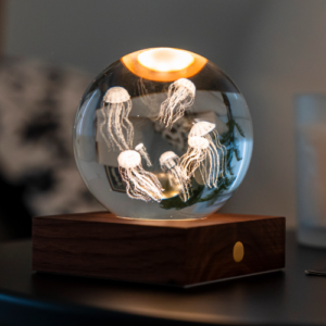 Gingo Jelly Fish Desk Light