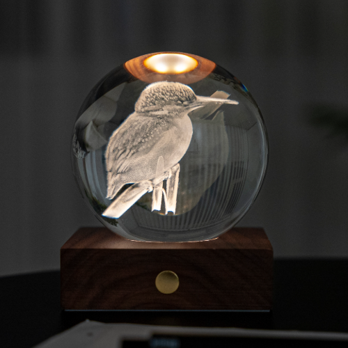 Kingfisher 3D Engraved Light