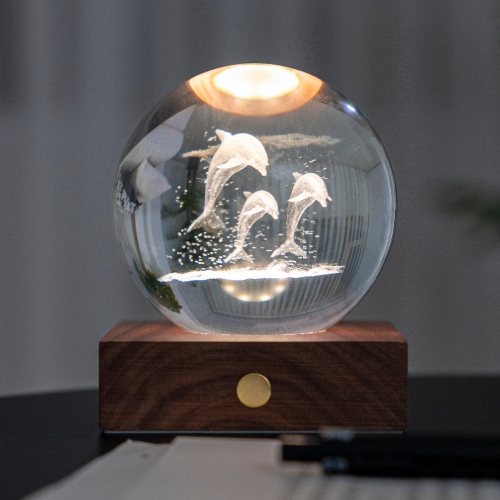 Rechargable Dolphin Night Light