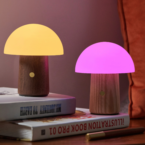 Gingko Design Mini Alice Mushroom Light with White Ash base on books