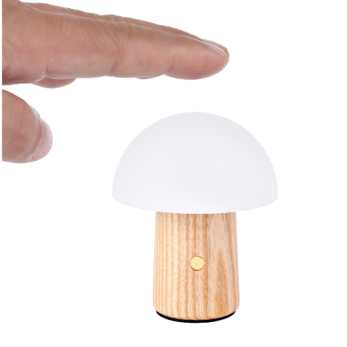 rechargable mushroom touch light light