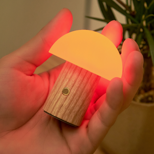 Mini Mushroom light with sustainable white ash base