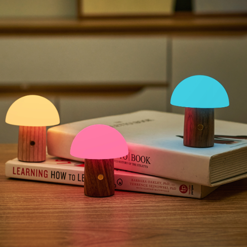 Colourful Selection of Gingko Design Alice mushroom light