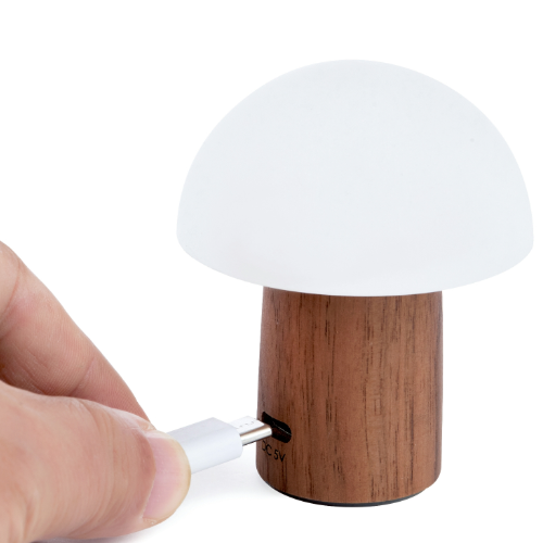 Gingko Alice light showing USB charging socket