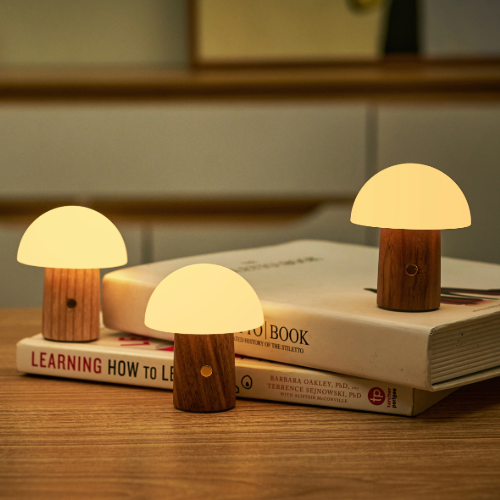 Selection of mini mushroom lights standing on a pile of books