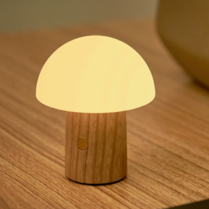 Mushroom night light with white ash base