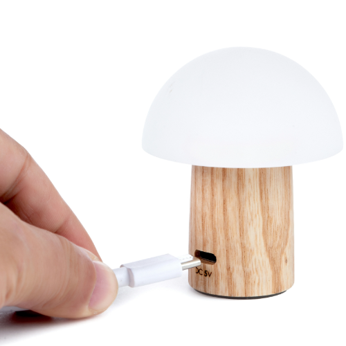 USB-C rechargable mushroom light