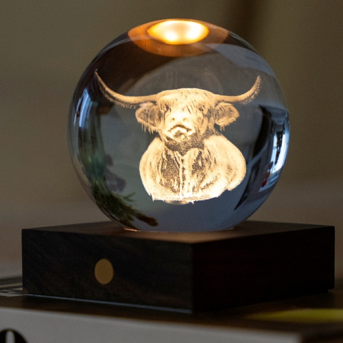 3D Highland Cow Night Light